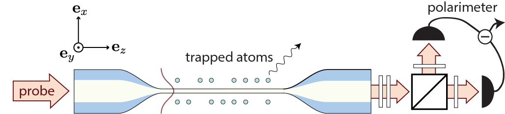 Spectroscopy on a nanofiber-trapped atom ensemble system